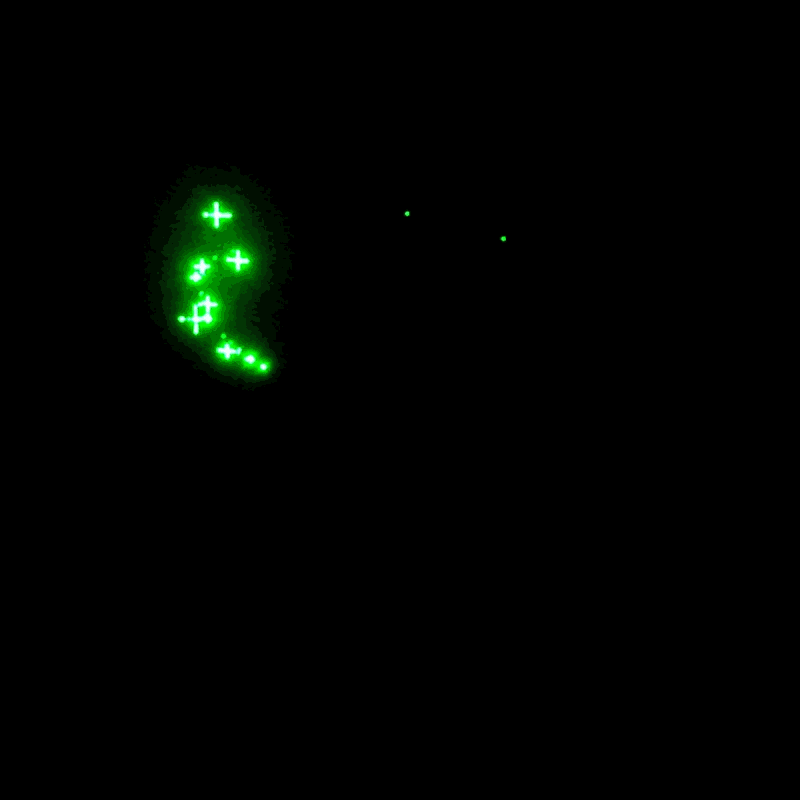 Pixxi Dust animation