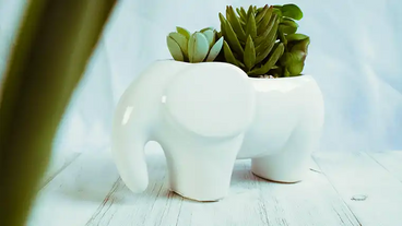 white elephant novelty ceramic planter